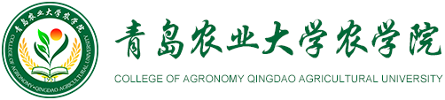 taptap点点官网